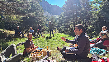 El bosque y sus setas