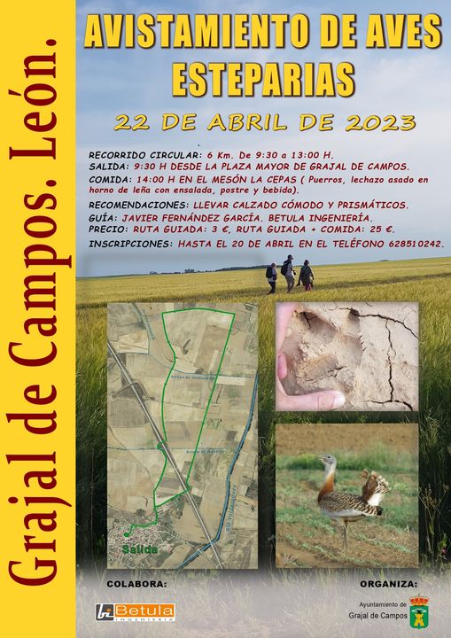 Avistamiento de aves esteparias